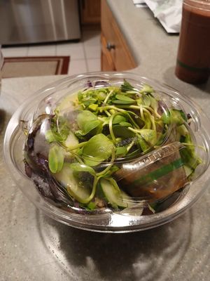 General Tso Salad at Cacao Tree Cafe in Royal Oak