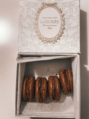  at Ladurée in Paris
