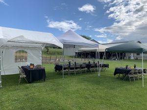   at Shanty Secrets in Danville