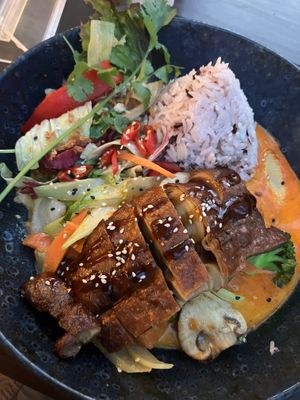 Duckin’ Good with curry-coconut sauce (spicy by special request): best prepared seitan I’ve ever had with a delightful crispy texture on the outside at Vegang in Berlin