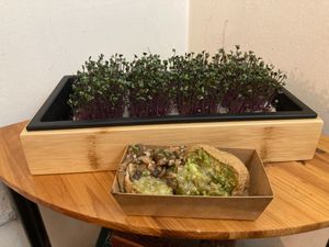 Two takeout tofu skins at YUBU in New York City