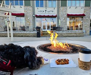 Everyone Loves loca Latte :)) at Loca Latte in Sussex