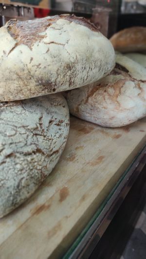Bread at Fisheye in Rome