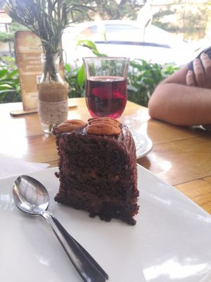Delicious pecan chocolate cake at Saludpan in Medellin