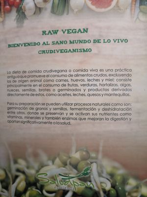 Raw vegan menu at Saludpan in Medellin