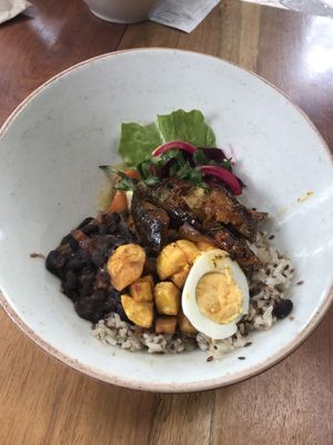 Vegetarian plate of the day  at Saludpan in Medellin