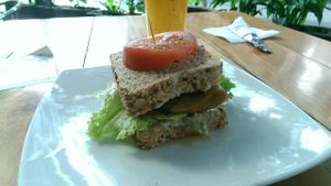 Vegan Sandwich at Saludpan in Medellin