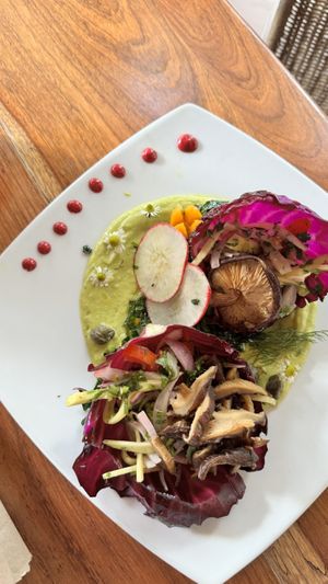   at Saludpan in Medellin