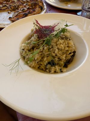 Mushroom Risotto without cheese or cream  at Churchill in Munxar