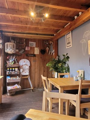 Scoops Inside at Scoops in Caernarfon