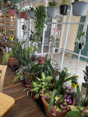   at Arnold's Way Vegetarian Raw Cafe in Lansdale