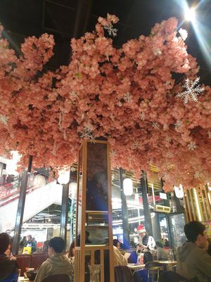  at Maki & Ramen - St James Quarter in Edinburgh