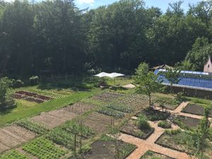 Veggie garden with the greenhouse next to Restaurant Bij de Tuinman at Bij De Tuinman in Hilversum