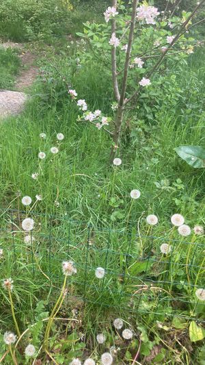 Wensen doe je bij de tuinman   at Bij De Tuinman in Hilversum