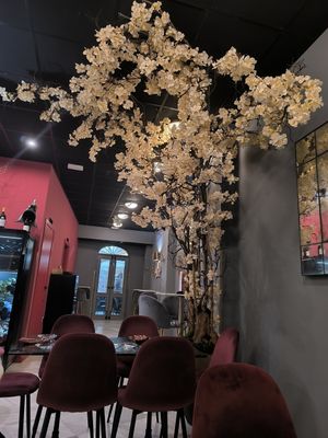  at Casa Tino in Cadiz