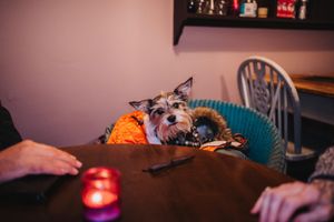  at Cumbia Kitchen - Cafe Bar in St Leonards