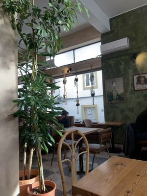   at Insensato in Tomar