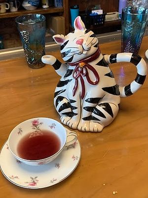 tea time at The Vegan Cheese Lady Cafe in Lafayette
