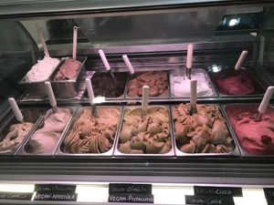 All the vegan options! at Gelarmony - Marcantonio Colonna in Rome