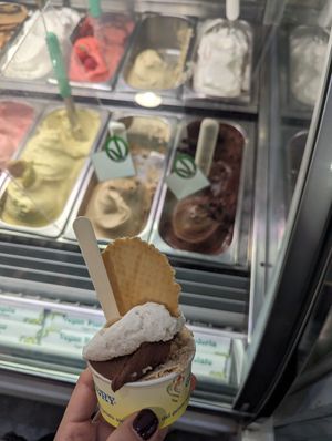  at Gelarmony - Marcantonio Colonna in Rome