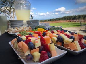 Cocktail Hour at The Vegan Caterer in Portland