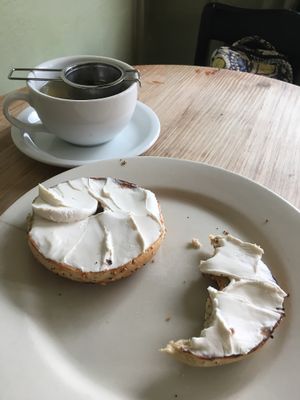 Everything bagel with plain cream cheese at Grindcore House in Philadelphia