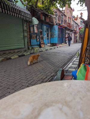  at Veganarsist - Balat in Istanbul