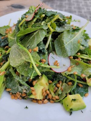 Baby Kale Salad  at Margo's in Santa Monica