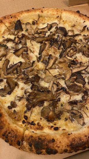 Mushroom pizza  at Margo's in Santa Monica
