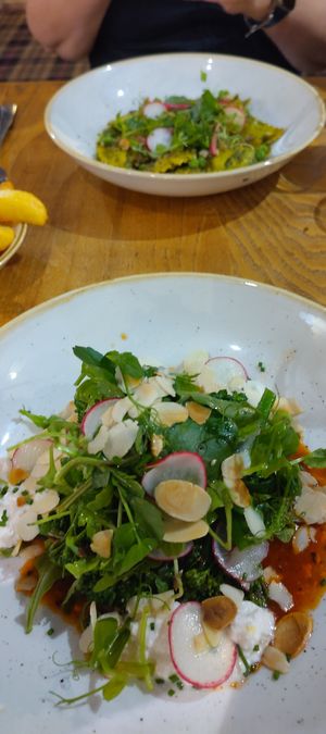  at Avon Causeway in Christchurch