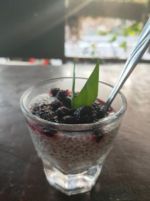 Chia pudding (so fresh 😋) at Warung Green in Ubud