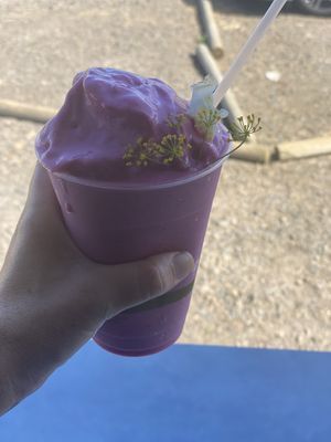 Smoothie of the day  at Rainbow Kitchen + Rebel Tonics in Haiku