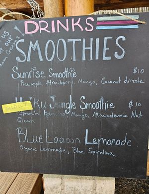 Smoothies at Rainbow Kitchen + Rebel Tonics in Haiku