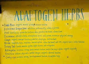Adaptogen herbs at Rainbow Kitchen + Rebel Tonics in Haiku