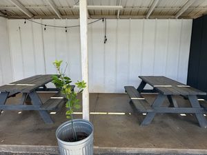 Seating   at Rainbow Kitchen + Rebel Tonics in Haiku