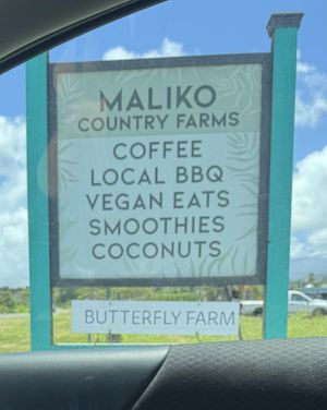   at Rainbow Kitchen + Rebel Tonics in Haiku