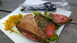 Vegan lunch. Lentils avocado tomato at Sidamo Coffee & Tea in Washington