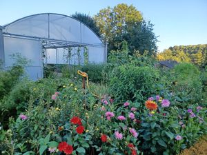  at Cuisine Intuitive in Marchin