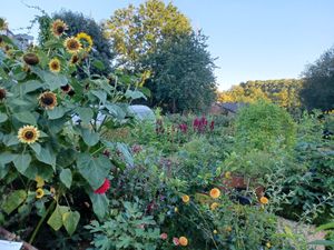  at Cuisine Intuitive in Marchin