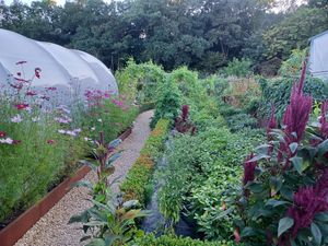  at Cuisine Intuitive in Marchin