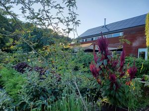  at Cuisine Intuitive in Marchin