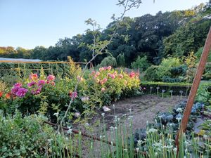  at Cuisine Intuitive in Marchin