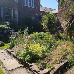 Secret garden in summer at Cakes & Ale in Carlisle