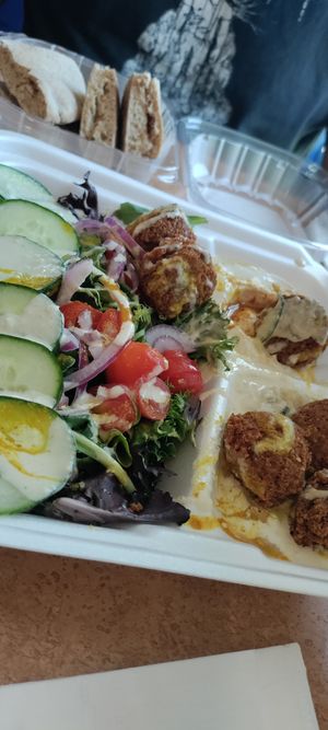 Falafel platter at Fresca on Addison in Richmond