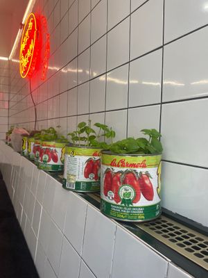  at Pizzi*s & Cream in Vienna