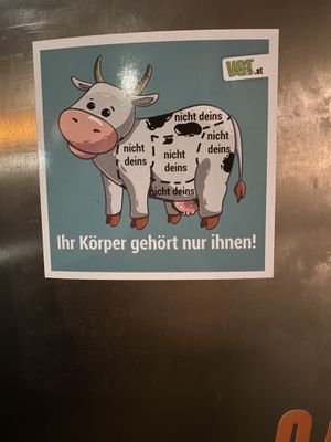   at Pizzi*s & Cream in Vienna