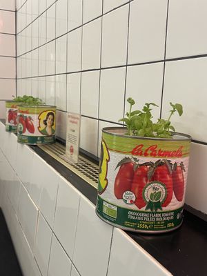   at Pizzi*s & Cream in Vienna