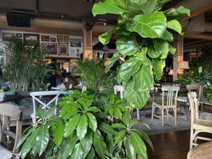 Plants at Troy Beer Garden in Troy