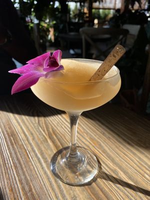 Frozé  at Troy Beer Garden in Troy