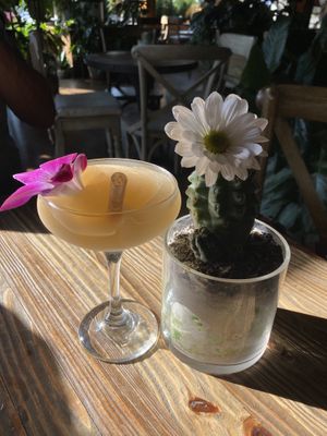 Frozé  at Troy Beer Garden in Troy